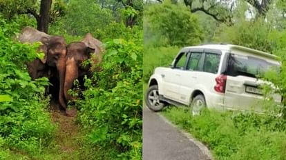 कोटद्वार , सड़क पर आ धमके हाथी मची अफरा तफरी डॉट पेंसिल