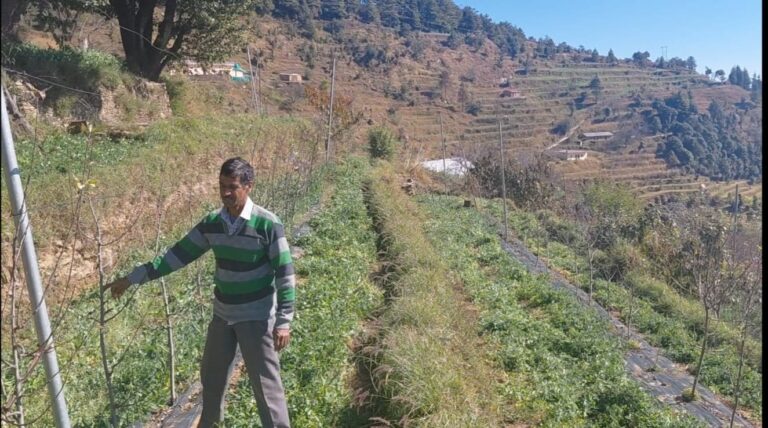 चोपडियालगांव के खुशीराम डबराल: पहाड़ की मिट्टी से आत्मनिर्भरता की मिसाल